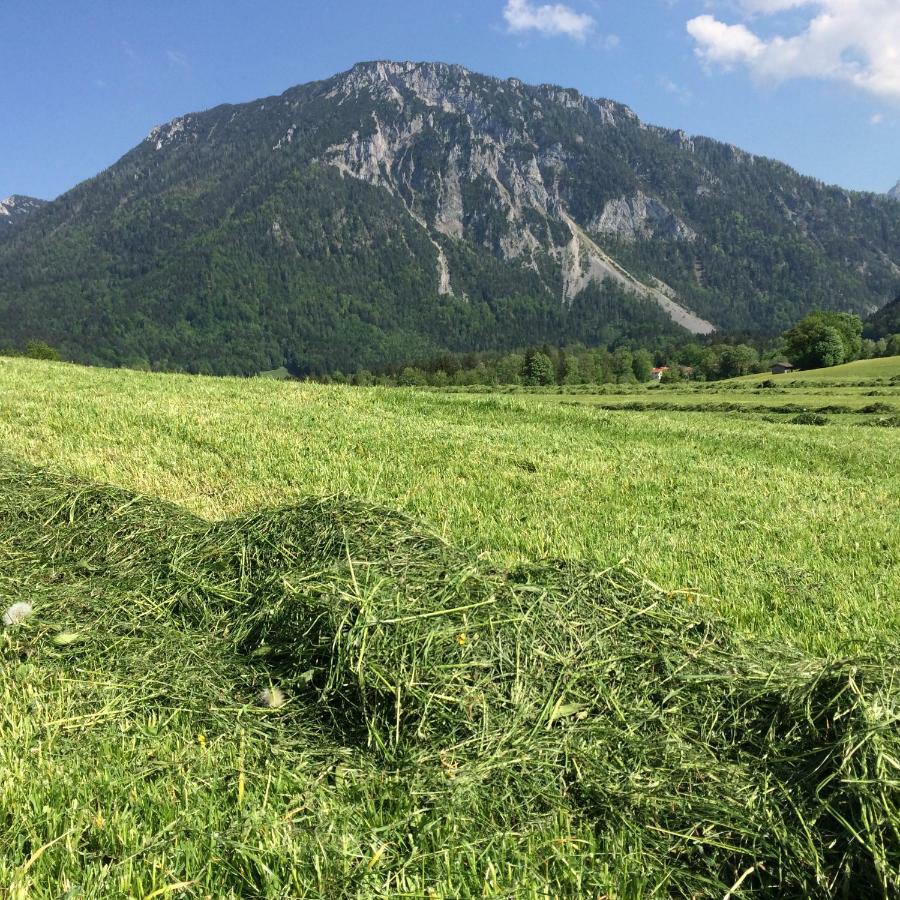 Ferienwohnung Schifterhof Ruhpolding Eksteriør bilde